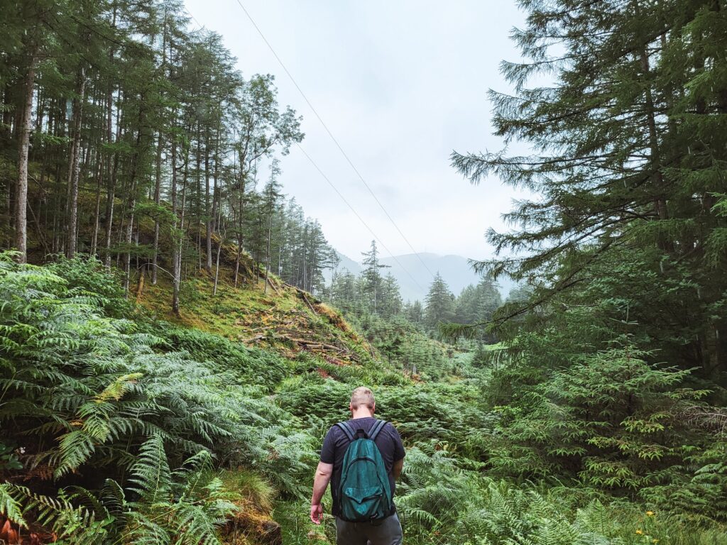 man in Glencoe woodlands