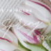 Pink tulips sitting on an open book